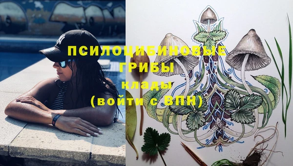 альфа пвп Лабытнанги