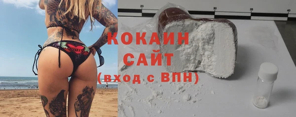 индика Куйбышев