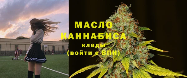 индика Куйбышев