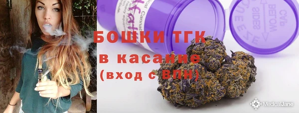 индика Куйбышев